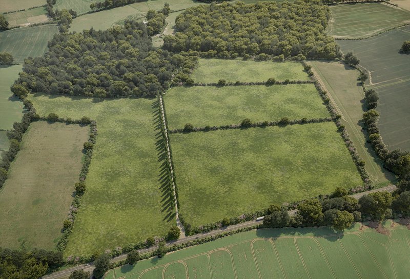 Emberton Habitat Bank visualisation